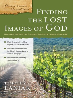 cover image of Finding the Lost Images of God